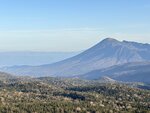 IMG_0202
