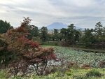 IMG_0374
