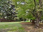 IMG_E0351