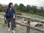 IMG_E0377