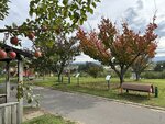 IMG_0345
