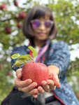 IMG_E0323
