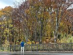 IMG_9218