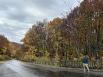 IMG_9221