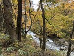 IMG_0498