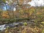 IMG_0521