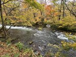 IMG_0533