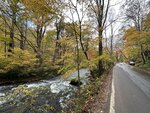 IMG_0534