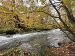 IMG_0541