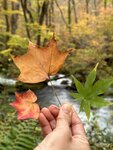 IMG_0557