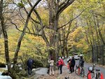IMG_0567