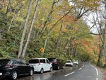 IMG_9303