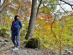 IMG_E0502