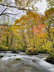 IMG_E0546