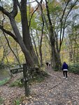 IMG_E0547