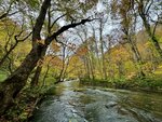 IMG_E0548