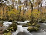 IMG_E0560