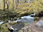IMG_E0565