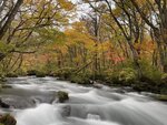 PISW0265