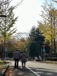 IMG_1370