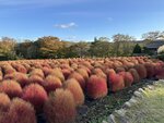 IMG_1393