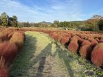 IMG_1402