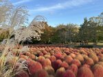 IMG_1405