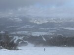 IMG_3954