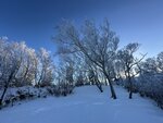 IMG_3988