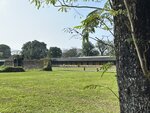 IMG_5941