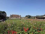 IMG_5967