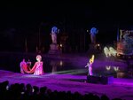 IMG_6549