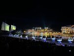 IMG_6579