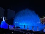 IMG_6596