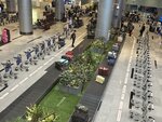 IMG_5464