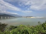 IMG_5905