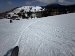 IMG_2612