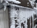 IMG_2635