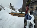 IMG_8358
