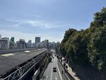 IMG_8461