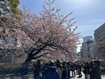 IMG_8465
