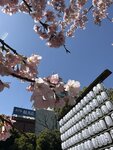 IMG_8468