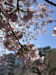 IMG_8470