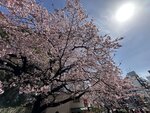 IMG_8471