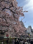 IMG_8478