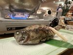 IMG_8302