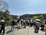 IMG_9788