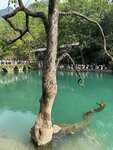 IMG_0018