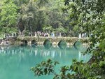 IMG_9985