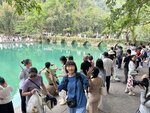 IMG_9986